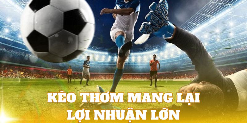 Chơi cược thơm bóng đá sẽ mang lại lợi nhuận rất lớn cho bạn