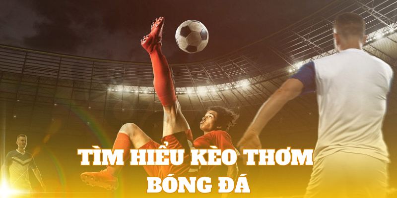 Đôi nét về tỷ lệ kèo cược thơm trong bóng đá